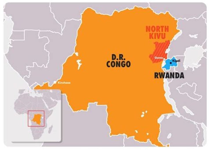 
Cheick Kongo Origine: Where Are His Parents From? Family And Ethnic Background 