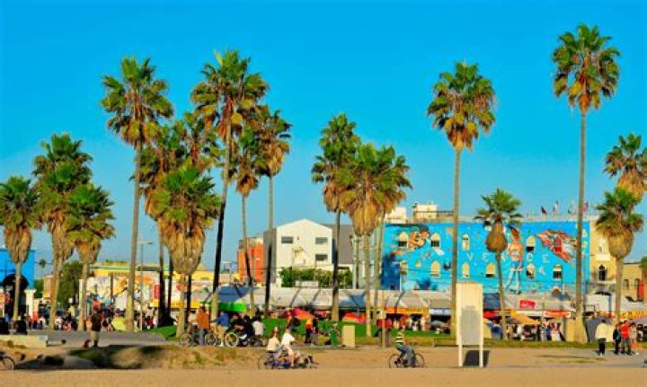 
Man Arrested After 2 British Tourists Were Shot Near a Bar in California’s Famed Venice Beach 