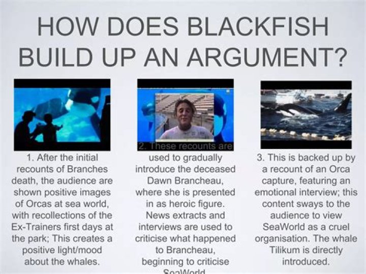 
What happened to tilikum after blackfish? 