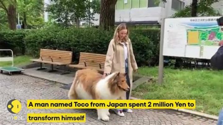 
Who is Toco? Japanese man becomes a dog 