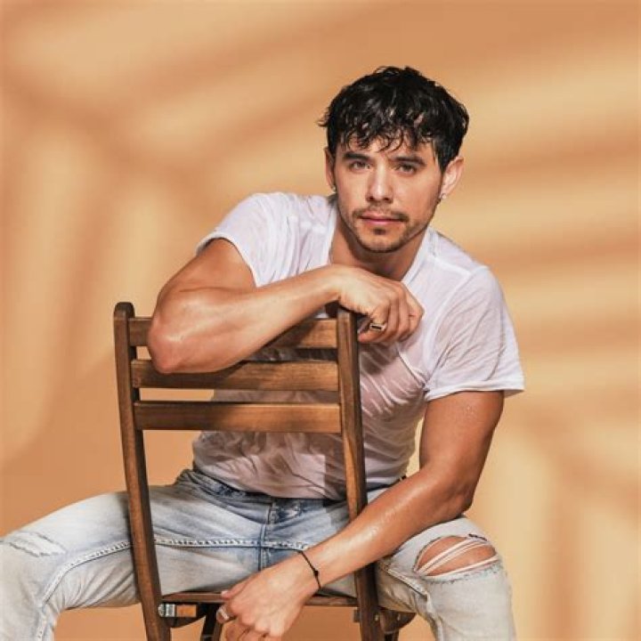 
Yes, David Archuleta Is Gay, Partner And Relationship Timeline 